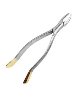 Dental Extracting Extraction Forceps